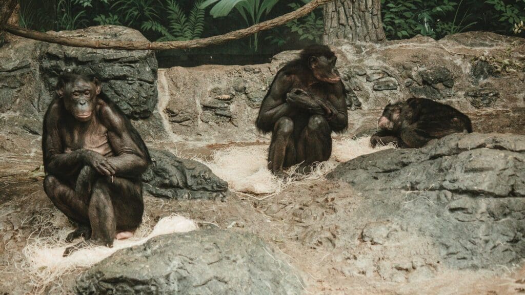 How To Get The Bonobos First Responder Discount