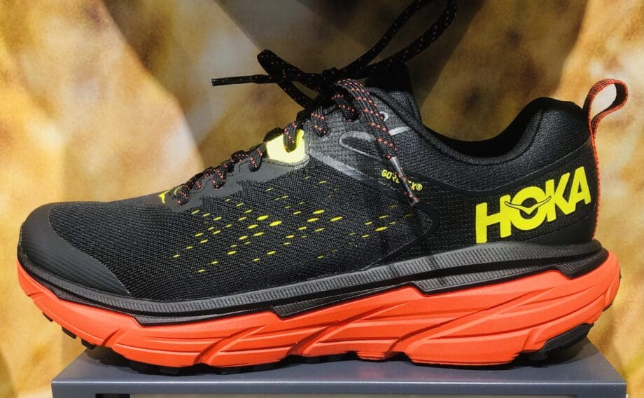 hoka one pro fly