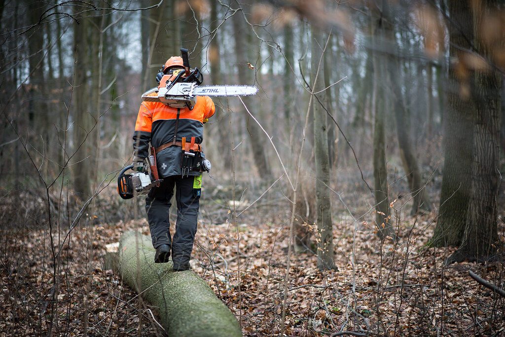 man walking with stihl chainsaw
