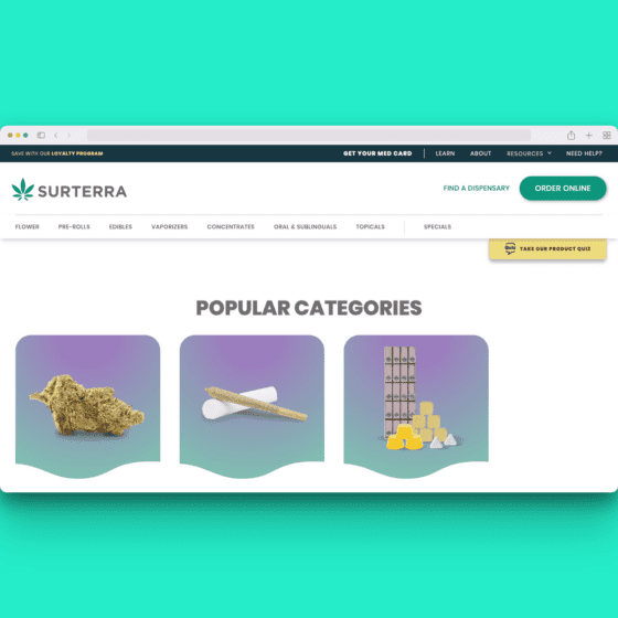 Surterra