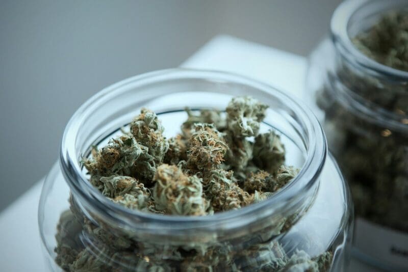 green cannabis on clear glass jar for birthday celebration