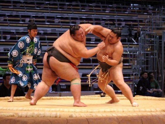 Sumo Snow