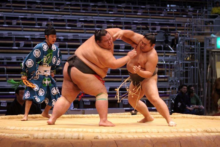 Sumo Snow
