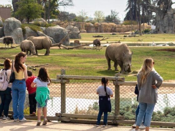 La Zoo