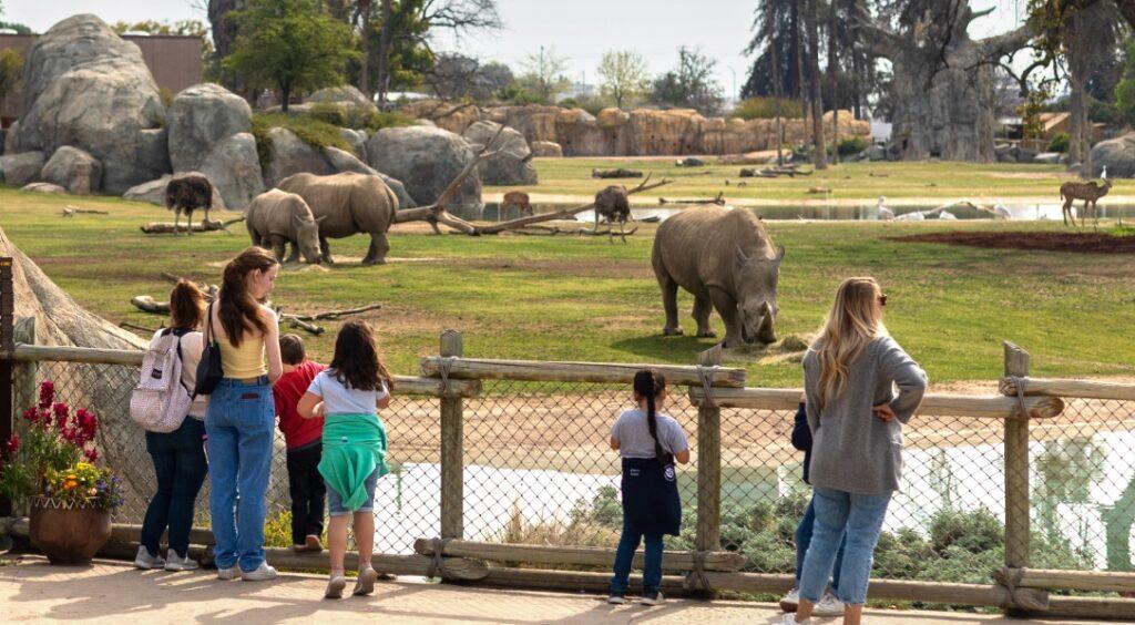 La Zoo