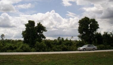 Everglades Holiday Park