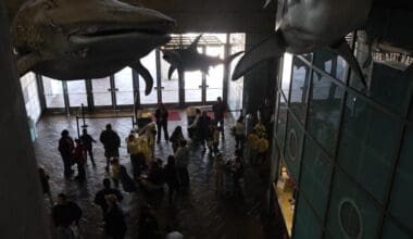 New Orleans Aquarium