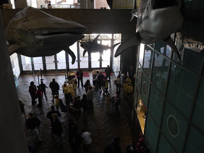 New Orleans Aquarium Teacher's Discount Club