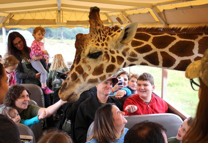 Fossil Rim