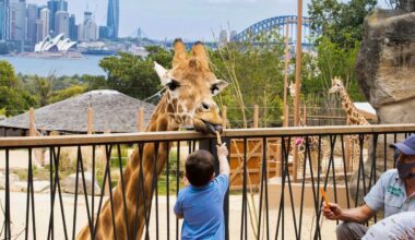 Taronga Zoo