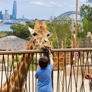 Taronga Zoo