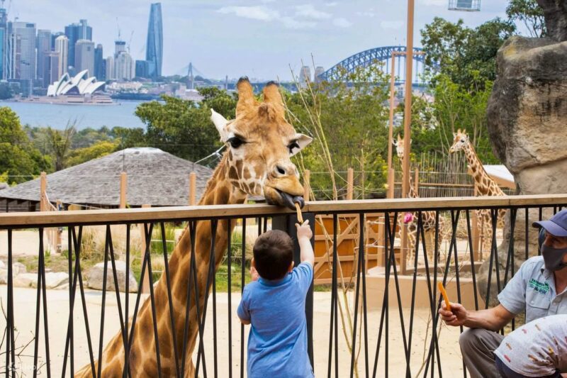 Taronga Zoo