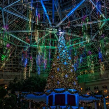 Gaylord Palms Ice Tickets
