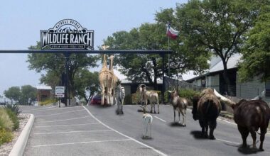 Natural Bridge Wildlife Ranch