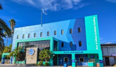Mote Aquarium