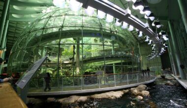 Cal Academy Membership