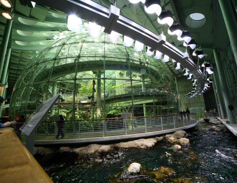 Cal Academy Membership