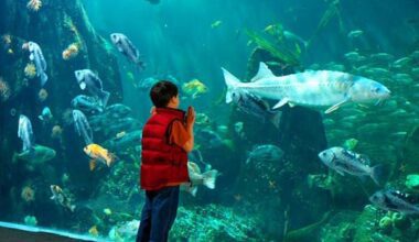 Vancouver Aquarium