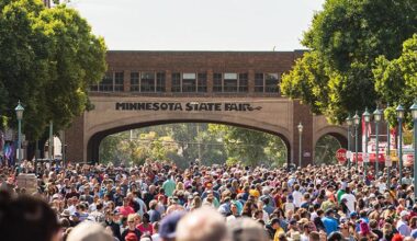 Mn State Fair