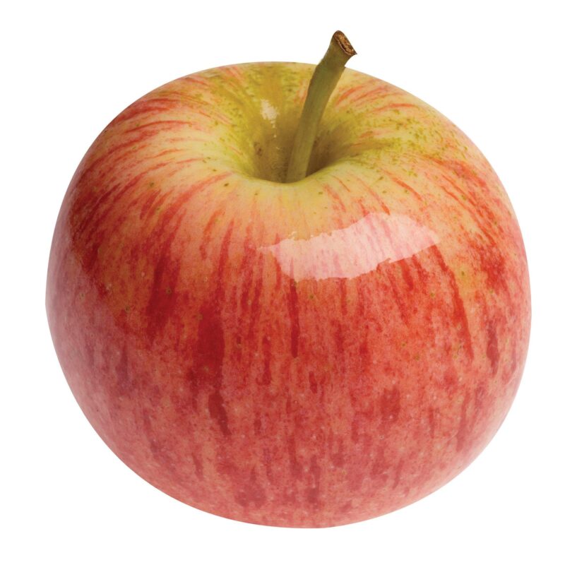 Apple Ipad Mini