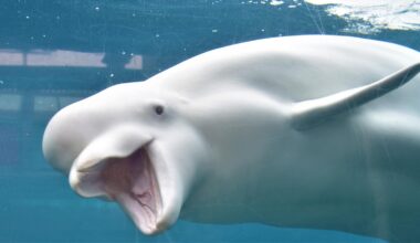 Mystic Aquarium