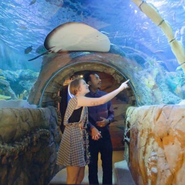 Kansas City Aquarium