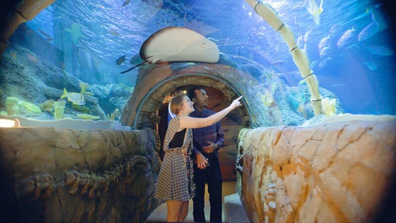 Kansas City Aquarium