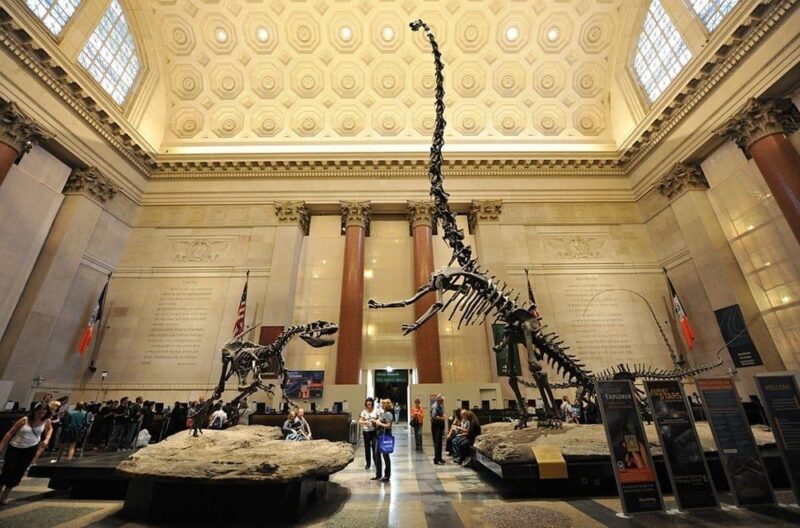 Natural History Museum Los Angeles