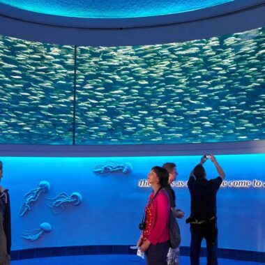 Monterey Bay Aquarium