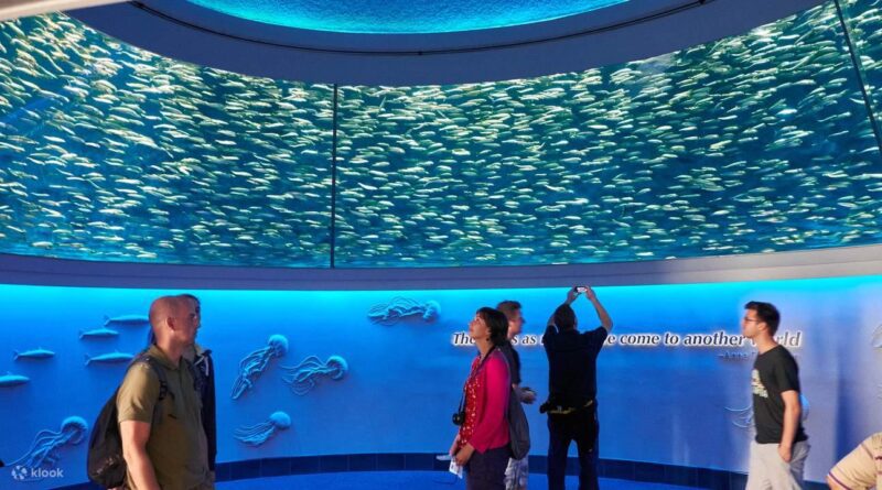 Monterey Bay Aquarium