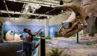 Glazer Children’S Museum