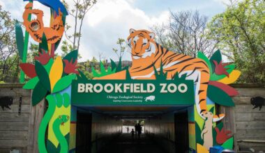 Brookfield Zoo Membership