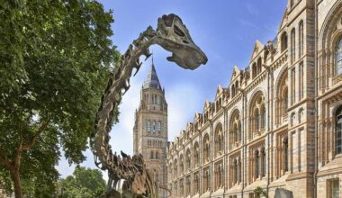 Natural History Museum Of Los Angeles County