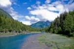 green trees near lake under blue sky during daytime in Anchorage Alaska