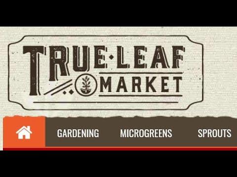 True Leaf Market