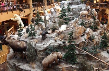Cabela’s